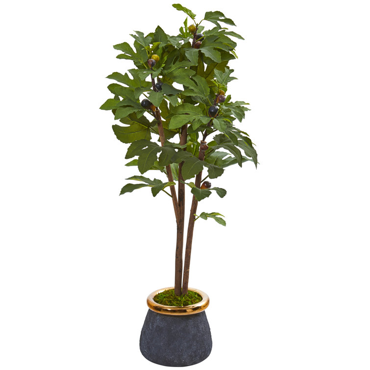 Gracie Oaks Artificial Fig Tree in Planter Wayfair Canada